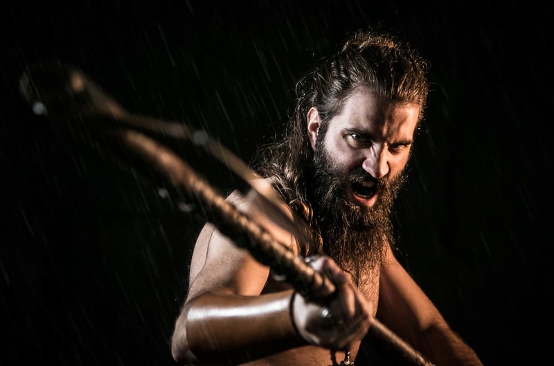 Viking Warriors